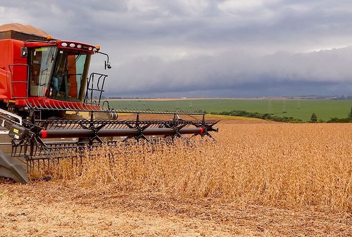 Atividade econômica recuou 0,2% em julho