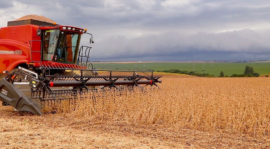 Atividade econômica recuou 0,2% em julho