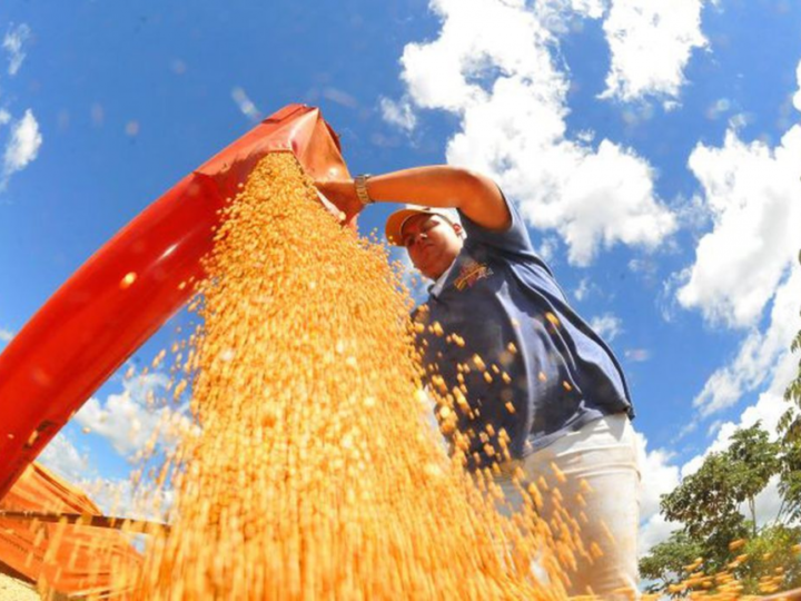 Produção agrícola brasileira atinge recorde de R$ 927 bilhões em 2025