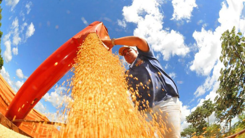 Produção agrícola brasileira atinge recorde de R$ 927 bilhões em 2025