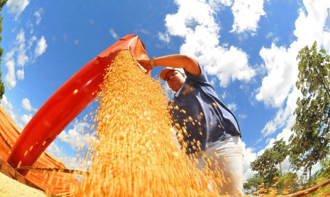 Produção agrícola brasileira atinge recorde de R$ 927 bilhões em 2025