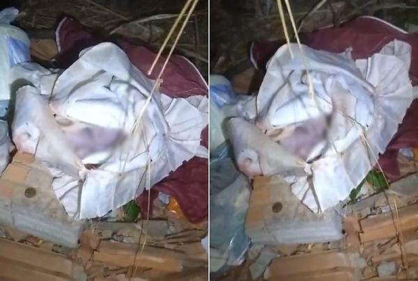 Vídeo mostra como catador de latinhas encontrou recém-nascida morta em terreno baldio em MT; veja