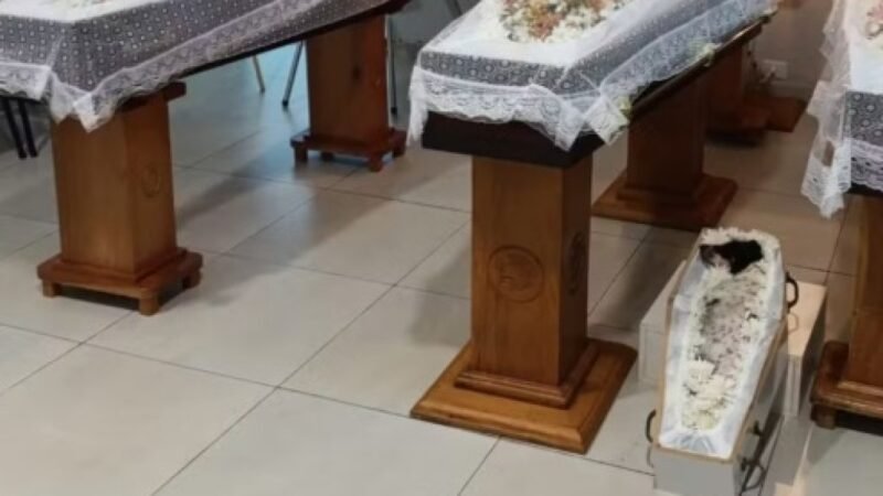 Pai e filhas de MT são velados ao lado de cadela de estimação