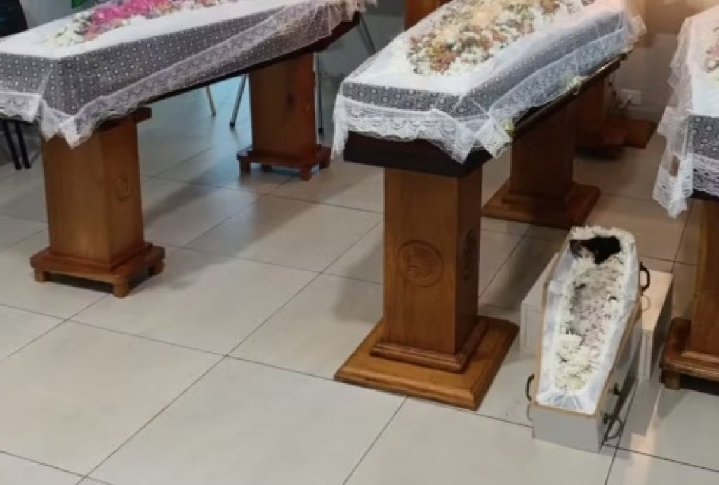 Pai e filhas de MT são velados ao lado de cadela de estimação