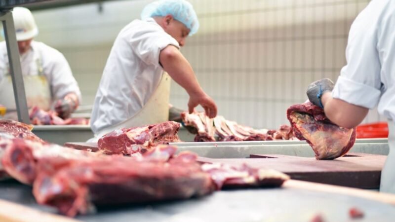 União Europeia suspende importações de carnes do Brasil