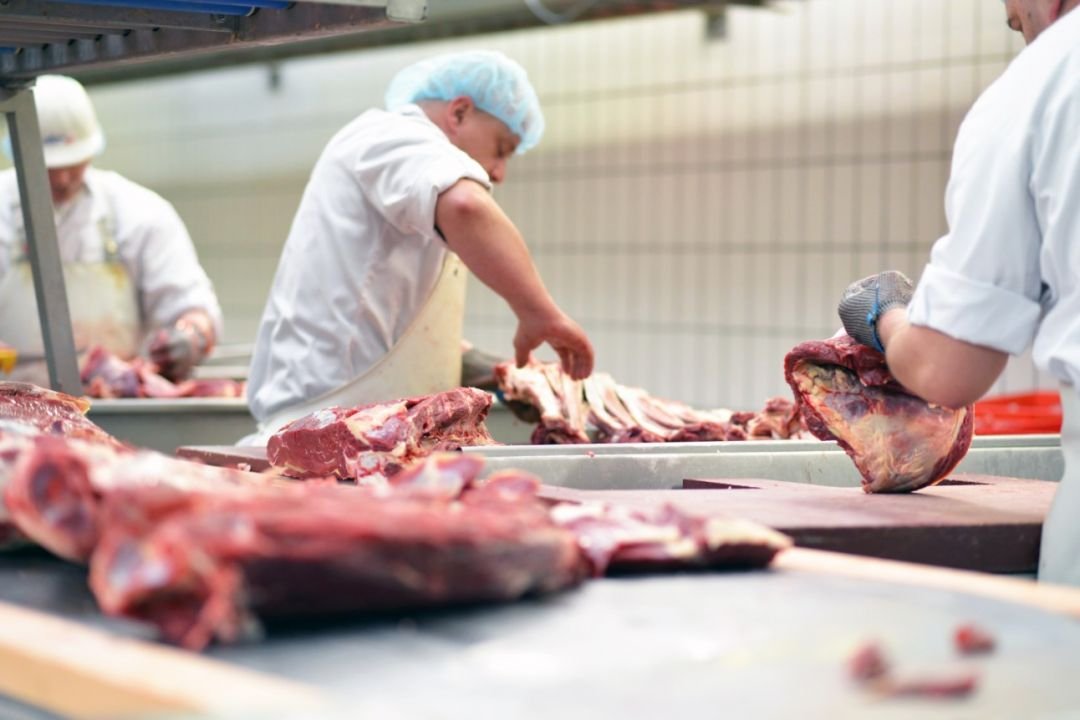 União Europeia suspende importações de carnes do Brasil