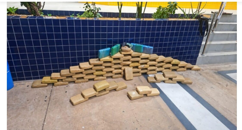 Documento falso levanta suspeita e PRF encontra quase 80 kg de drogas em caminhonete