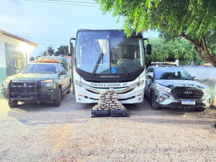Polícia encontra 31 tabletes de maconha escondidos em ônibus de prefeitura