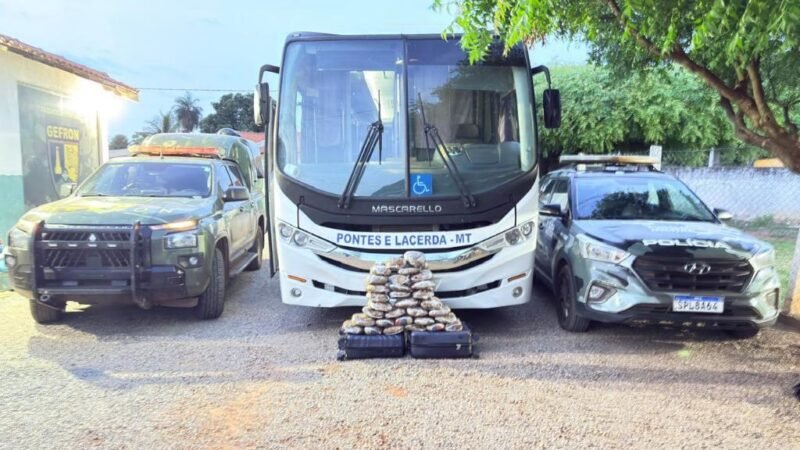 Polícia encontra 31 tabletes de maconha escondidos em ônibus de prefeitura