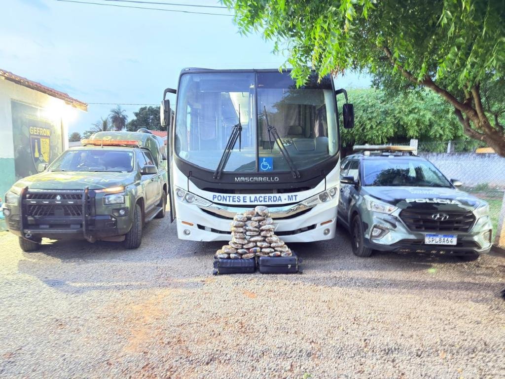 Polícia encontra 31 tabletes de maconha escondidos em ônibus de prefeitura