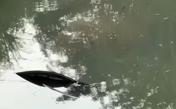 Carro cai em lago após colisão na BR-163 e mulher e crianças são resgatadas