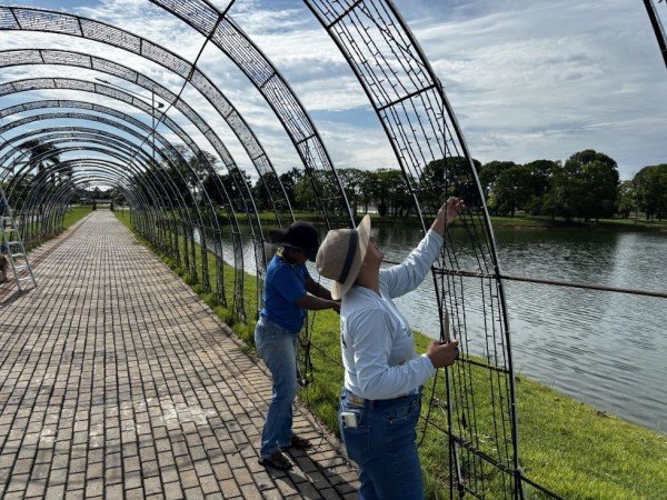 Depredação de decorações natalinas é registrada em lagos de Matupá