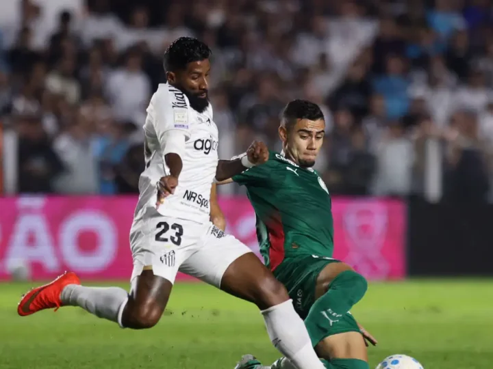Brasileirão: Palmeiras fica no zero com o Santos e Flamengo agradece