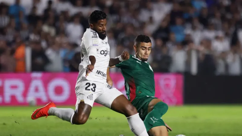 Brasileirão: Palmeiras fica no zero com o Santos e Flamengo agradece